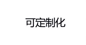 中小型水陸兩棲救援車(chē)